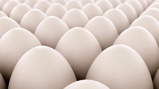 Image of white eggs. Perfect for anything related to healthy food, easters, eggs production and food industry in geneneral.