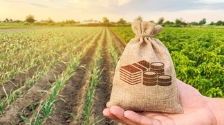 Restrições no PIS/Cofins podem comprometer lucratividade do agro