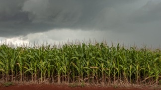Após impacto do El Niño, agricultura brasileira enfrentará La Niña no segundo semestre