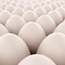 Image of white eggs. Perfect for anything related to healthy food, easters, eggs production and food industry in geneneral.