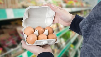 Produtores de ovos franceses apostam na demanda crescente. No Brasil, cotação cai