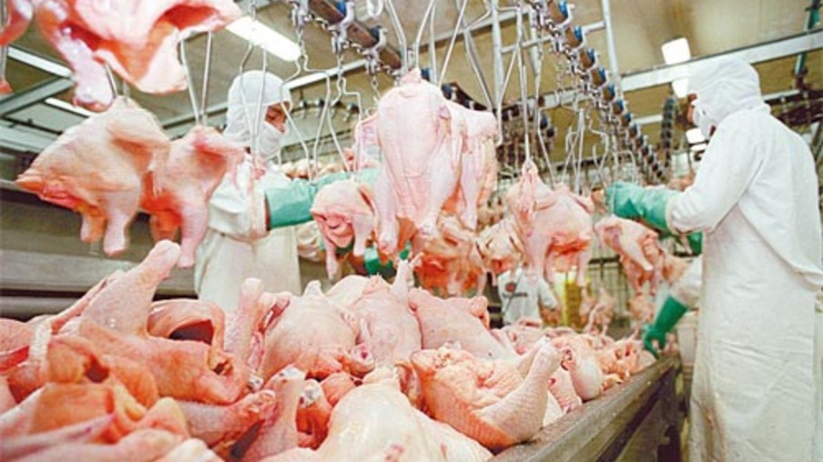 Estabilidade marca cotações do mercado de frango