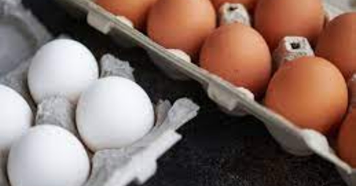 Preços dos ovos registraram alta em fevereiro impulsionados pela demanda