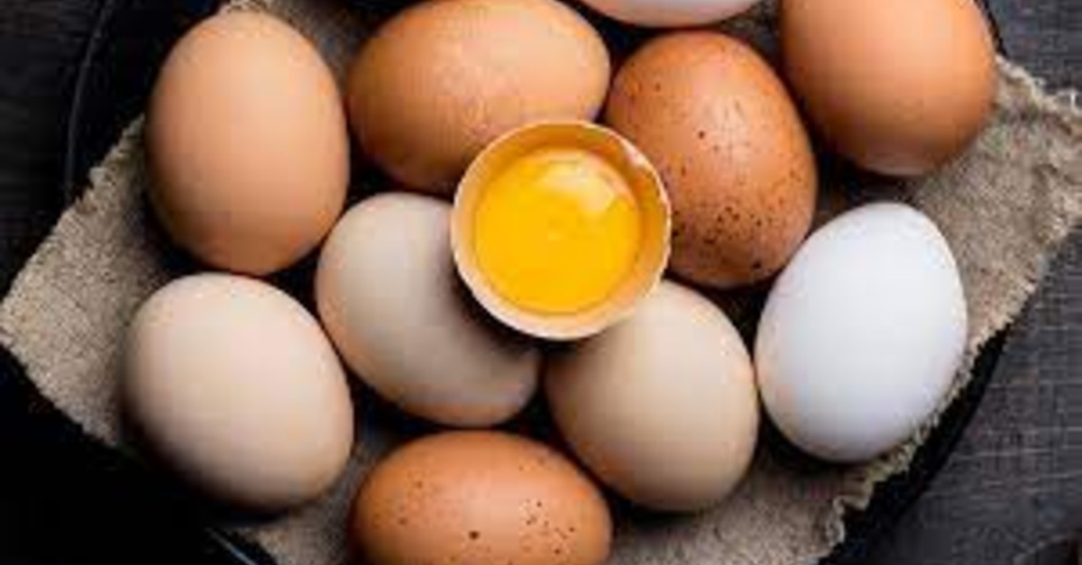 Oferta controlada mitiga impacto da queda na demanda, mantendo estabilidade nos preços dos ovos