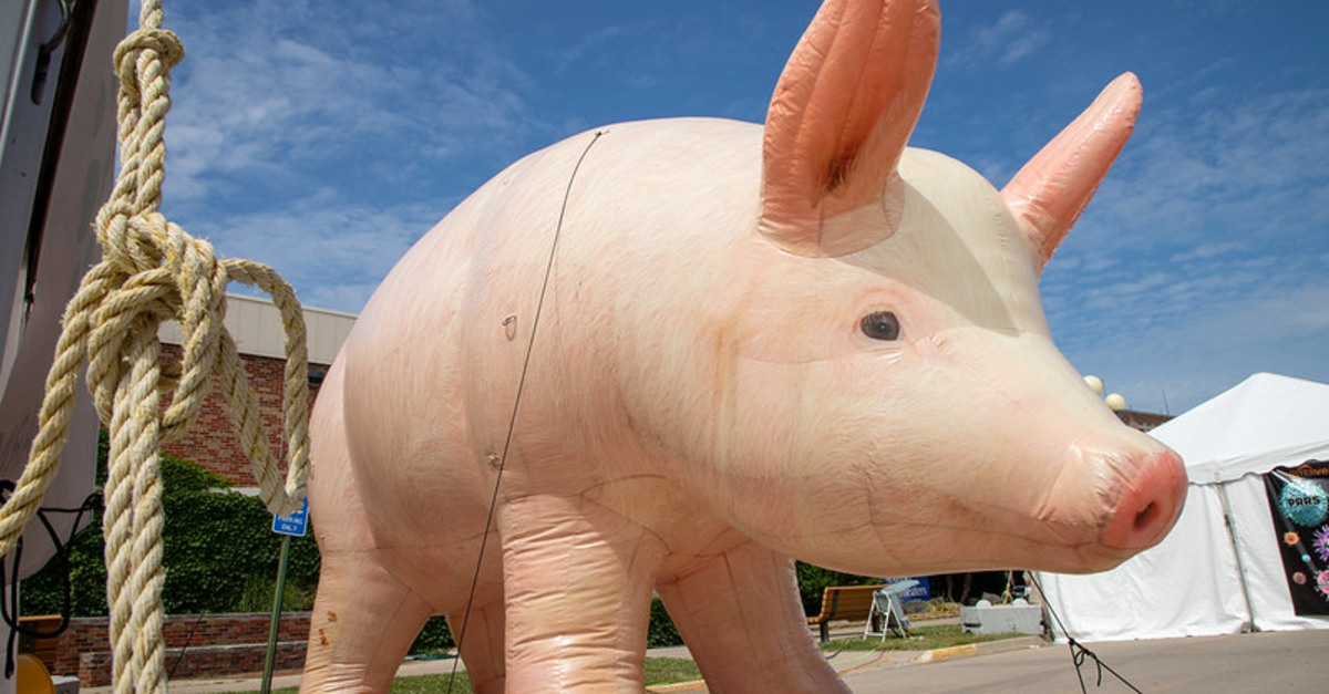 World Pork Expo® retorna com novidades em 2024