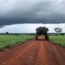 Plantio de soja no Brasil tem espaço para crescer até 36,6 milhões de hectares