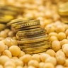 Preço da soja permanece acima dos R$ 140 a saca em Paranaguá