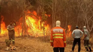 Incêndio: Mato Grosso do Sul declara emergência e convoca voluntários