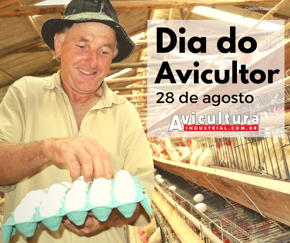 Avicultor: colocando o Brasil na liderança do mundo
