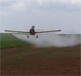 Aviação agrícola combate pragas