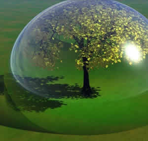 Caixa Federal assina primeiros contratos de crédito de carbono