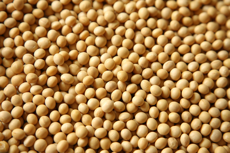 Produção maior que a demanda deve impactar no preço da soja em 2014