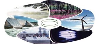 A força da natureza: Além de preservar o ambiente, produção é um bom negócio