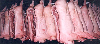 Bolsa de Suínos de São Paulo em R$ 68,00