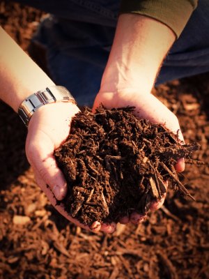 Reunião discute gestão de resíduos sólidos em instituições públicas de ensino superior