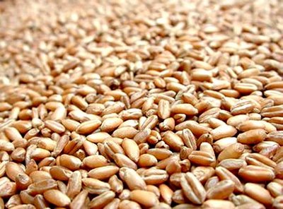 Tradings aguardam colheita para manter exportação