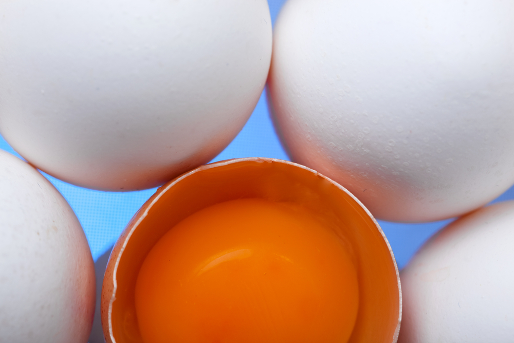 Mesmo com pressão dos compradores, o mercado de ovos segue com os preços estáveis