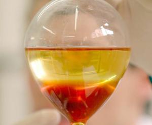 Sebo bovino é alternativa viável para produção de biodiesel