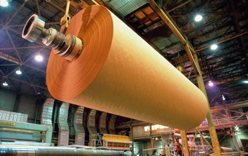 Produção de celulose cai em janeiro e exportação sobe