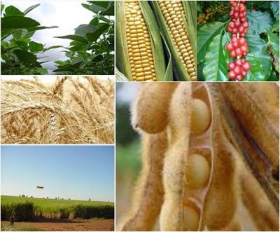 Fed pode dar sustentação a commodities