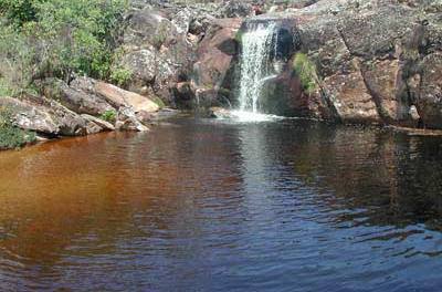 Dia Mundial da Água – Informação e ação