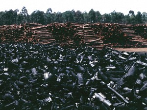 Consumo de carvão vegetal de origem nativa cai 61% em Minas Gerais