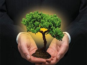 Nova legislação florestal mineira garante segurança ao produtor