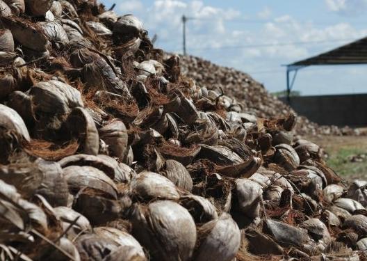 Aproveitamento de resíduos agroindustriais é novo trunfo econômico de Alagoas