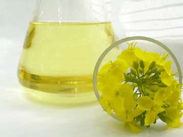 Odebrecht quer operar em escala comercial a partir de 2016