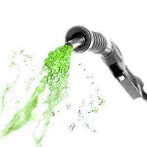 Ação federal deve dar impulso à bioenergia