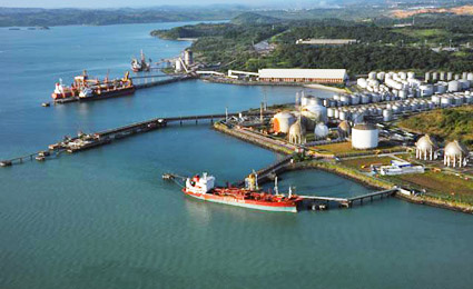 Biomassa vai substituir gás natural como fonte de energia em petroquímica