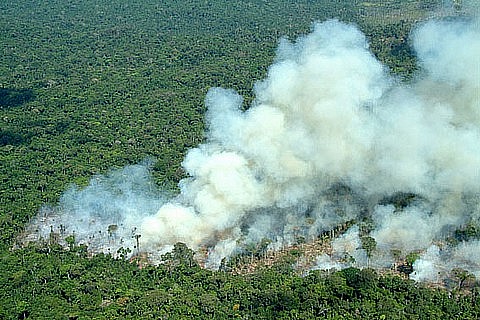 Mundo pode ter um ‘Brasil’ em terras degradadas
