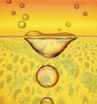 Uso de biocombustíveis deve aumentar até 2050, diz relatório do Greenpeace