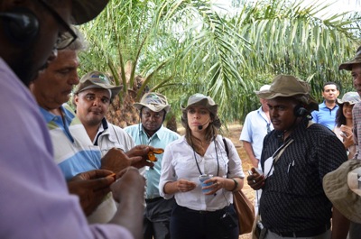 Zoneamento agroecológico é ferramenta para preservação ambiental na produção de biocombustíveis