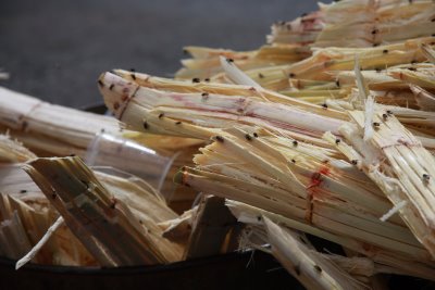 Bioenergia produzida com bagaço da cana abastece região Norte de AL