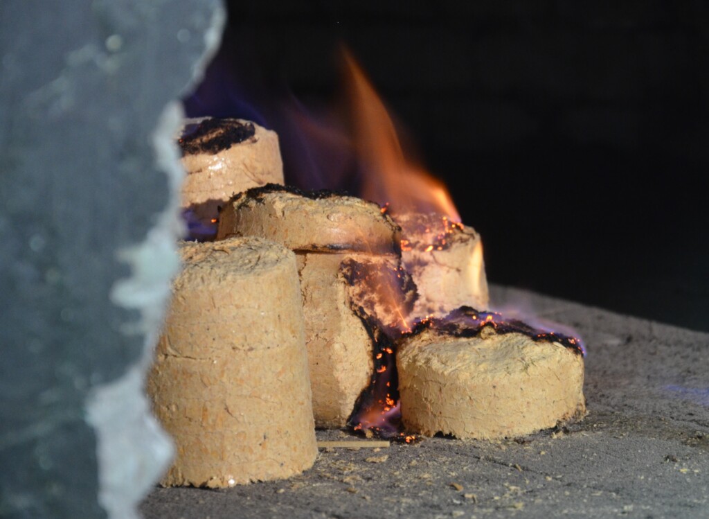 Embrapa Agroenergia publica documento sobre briquetes e pellets