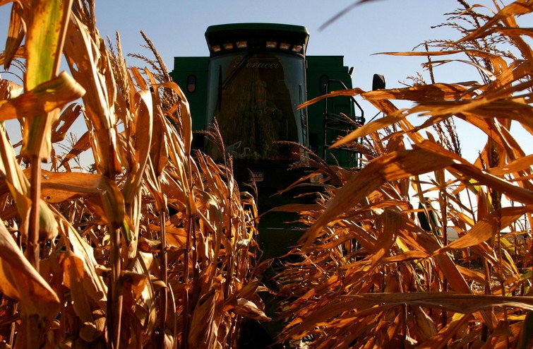 Lucro da Bunge dobra no primeiro trimestre