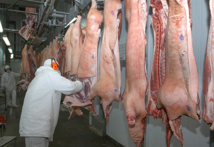 Exportações de carne suína totalizaram 52 mil t em outubro