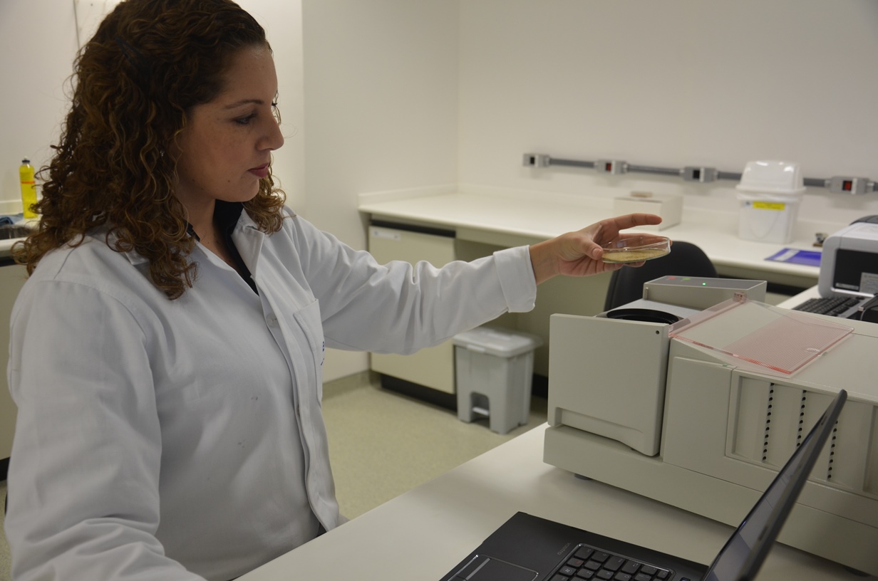 Pesquisa investe na caracterização da biomassa para obtenção de biocombustíveis Pesquisa investe na caracterização da biomassa para obtenção de biocombustíveis
