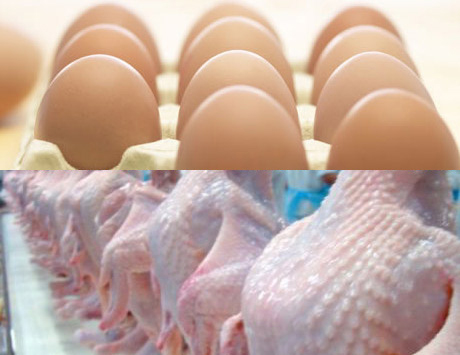 Ovo custa mais caro do que frango no ABC paulista