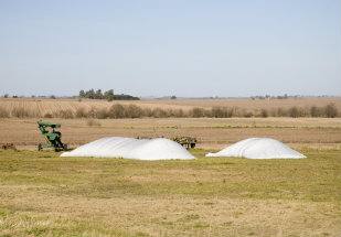 Vendas de silos argentinos devem crescer 50% este ano no BR