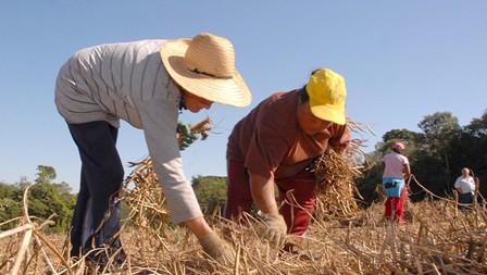Brasil ganha reconhecimento internacional na promoção da agricultura familiar