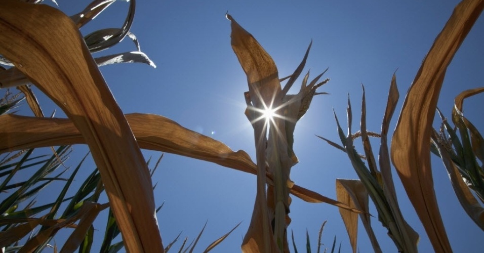 Clima adverso nos EUA gera disparada de preços de grãos