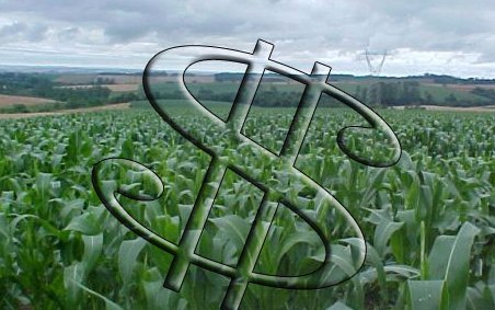 CNA prevê altas do PIB do campo em 2013 e 2014