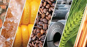 Liberação de transgênicos na mira do Ministério Público