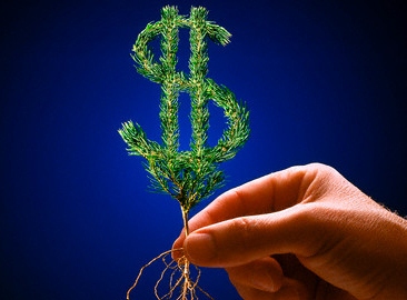 Valor da produção agrícola será recorde neste ano, aposta governo