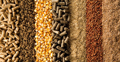 Sindirações lança o Compêndio Brasileiro de Alimentação Animal 2013