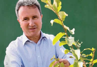 Descréditos de carbono