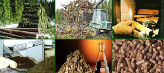 Biomassa pode garantir 13% da geração de energia do país