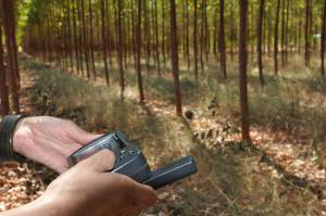 Seagro inicia mapeamento de áreas de florestas plantadas no Tocantins